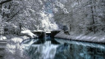 Winter Lake Lakeside Landscape Nature Wonderland