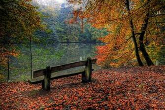 Autumn Wallpaper