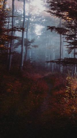 Vertical 1080p Wallpaper HDwallpaper Desktop iPhone