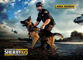 Police K9 Wallpaper