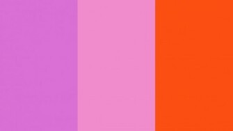 Orchid Pink And Orioles Orange Solid Three Color Background