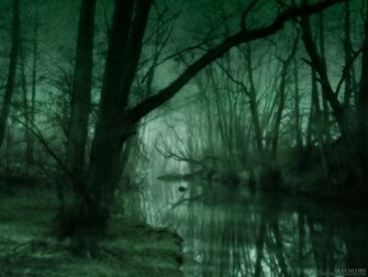 Dark Forest Wallpaper