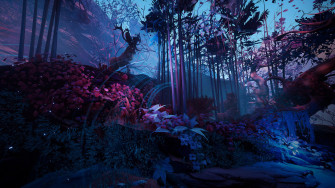 Mystical Forest Background Wallpaper