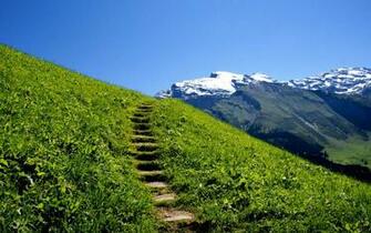 Stairway To Heaven HD Wallpaper For