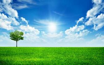 Sunny Bright Day HD Wallpaper