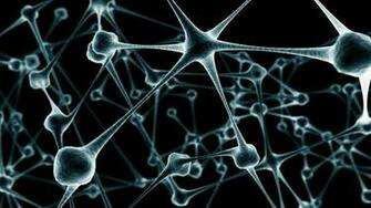 Cell Biology Wallpaper