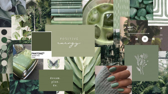 Sage Green Mood Aesthetic Collage Laptop Wallpaper Off