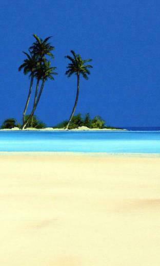 Awe Inspiring Windows Phone Summer Wallpaper