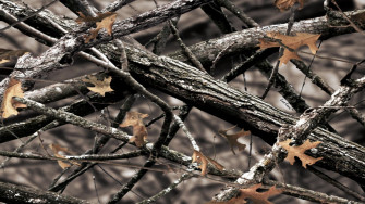 Realtree Camo Wallpaper For Walls