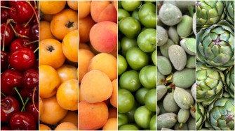 Eating With The Seasons All About Turkey S Fruit And Veggie