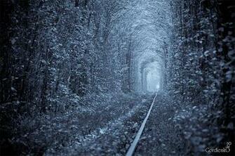 The Tunnel Of Love In Ukraine Let S Go Around World