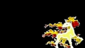 Pokemon Rapidash Black Background