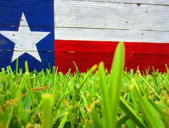 Texas Flag Rustic Sign Via