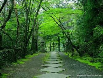 Kyoto Japanese Garden Wallpaper In Zen
