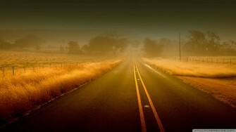 Misty Road Wallpaper