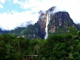 Angel Falls Venezuela Wallpaper