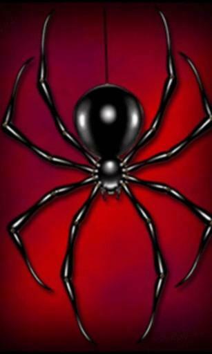 Bigger Black Widow Spider L Wallpaper For Android Screenshot