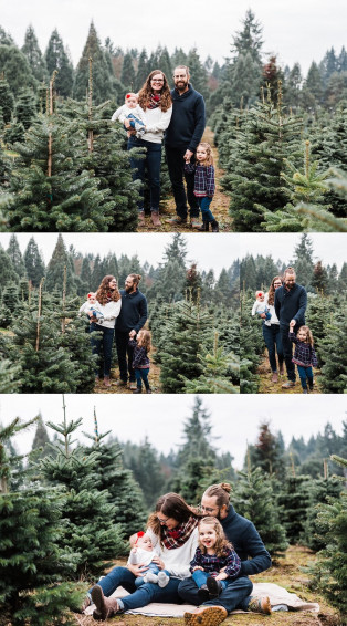 Portland Oregon Christmas Tree Farm Photos Elizabeth Hite