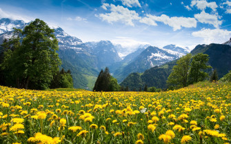 Swiss Alps Wallpaper