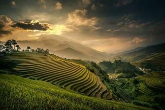 These Rice Terraces