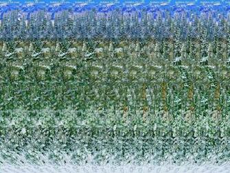 Stereogram Wallpaper