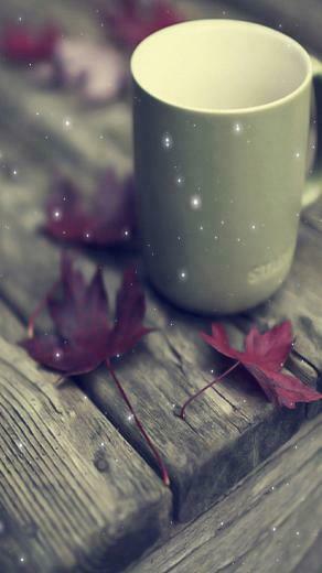 For Your Lg G4 HD Cup Wallpaper