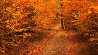 HD Wallpaper Desktop Autum