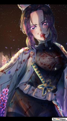 Shinobu Kochou HD Wallpaper Anime