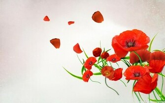 Poppy Flowers Wallpaper