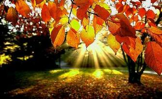 Fall Screensavers And Wallpaper Fantastic Pics