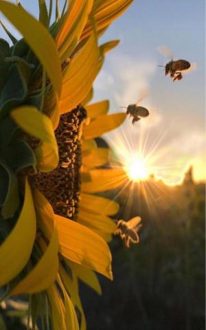 Image About Photography In Interesting Image By Sherilynn