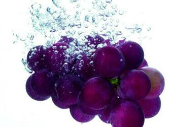 Best Wallpaper Fruit In Water