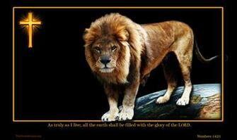 Wallpaper Lion Of The Tribe Judah