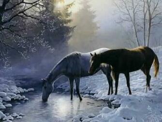 Horse Wallpaper HD For Desktop