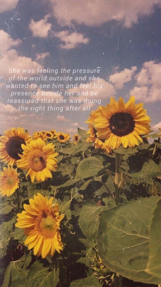 Life Is A Beautiful Journey Bloom Like Sunflower