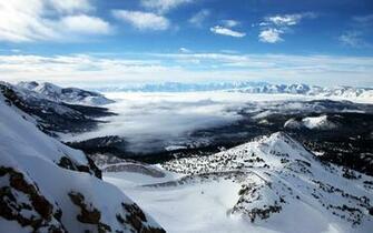 Top Arctic Tundra Wallpaper
