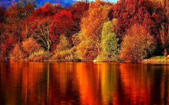 Autumn Lake And Colorful Trees Doa52uqtvxmbyn38 Wallpaper