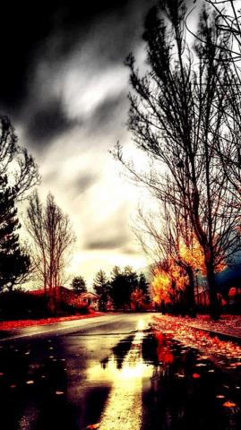 Beautiful Wallpaper For iPhone