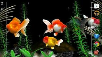 Gold Fish 3d Live Wallpaper Android Apps On Google Play
