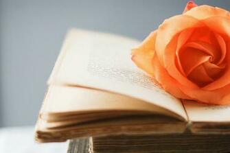 Books Desktop Wallpaper Photo