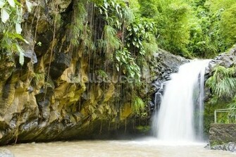 Annadale Falls Grenada Wall Mural Wallpaper