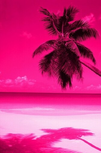 Pink Palm Trees Cool Wallpaper For Phones