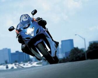 Funny Animal Motorcycle Desktop Wallpaper