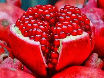 HD Wallpaper Desktop Fruits