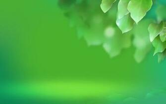 Go Back Gallery For Emerald Color Background