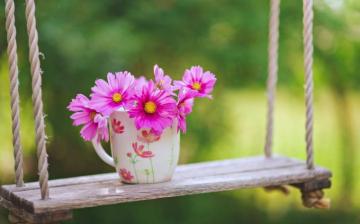 Pink Flowers In A Cup Of Coffee Spring Morning Time