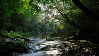 Stream In The Field Wallpaper Original HD