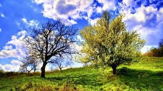 Widescreen HD Wallpaper