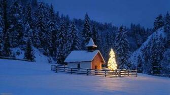 Tree Snow Light Wallpaper Computer Cool