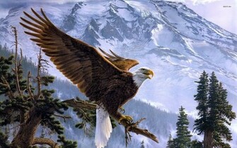 Bald Eagle Wallpaper